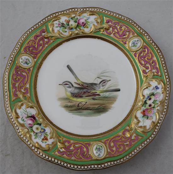 An English porcelain seventeen piece ornithological dessert service